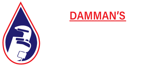 dp footer logo